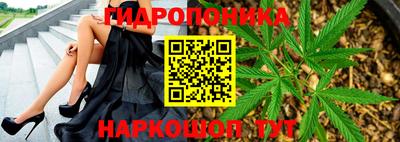 скорость mdpv Новодвинск