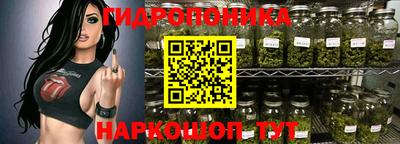 дмт Новозыбков
