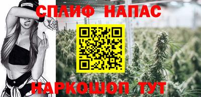дмт Новозыбков