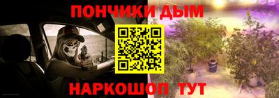 дмт Новозыбков
